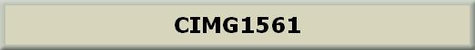 CIMG1561